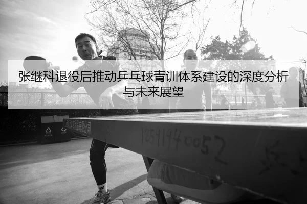 张继科退役后推动乒乓球青训体系建设的深度分析与未来展望